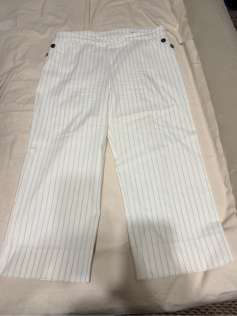 Attyre White Pinstripe Pant with Black Lines